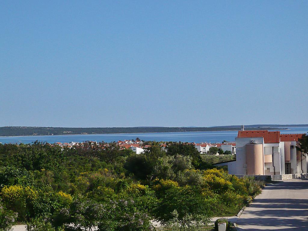 Ruza Apartment